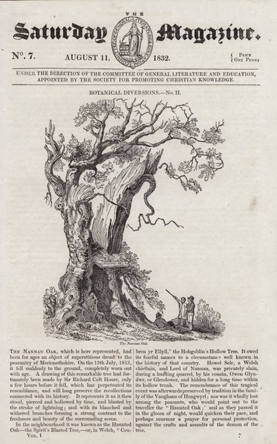 Die Nannau-Eiche (Gravur) von English School
