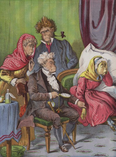 Der Arzt von English School