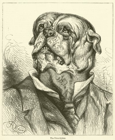 Der Preisboxer (Gravur) von English School