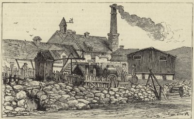 Die Königin in Balmoral von English School