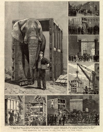 Die Entfernung von Jumbo von English School