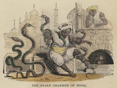 Der Schlangenbeschwörer von Indien von English School