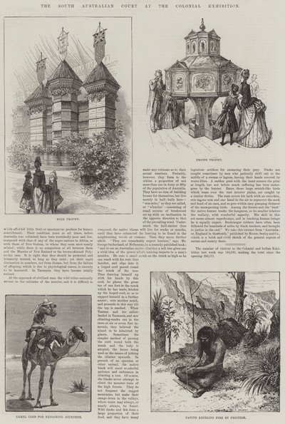 Der südaustralische Hof auf der Kolonialausstellung (Stich) von English School