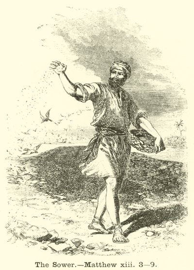 Der Sämann, Matthäus, xiii, 3, 9 von English School