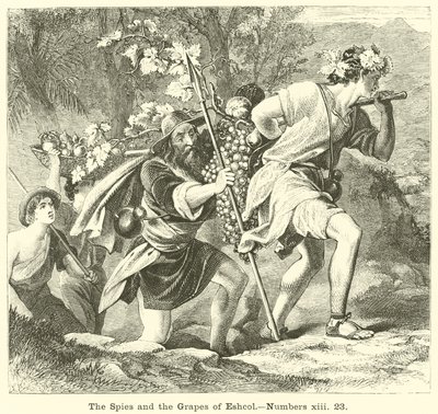 Die Spione und die Trauben von Eschkol, Numeri, xiii, 23 von English School