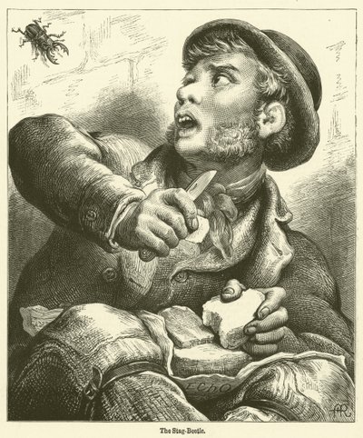 Der Hirschkäfer (Gravur) von English School