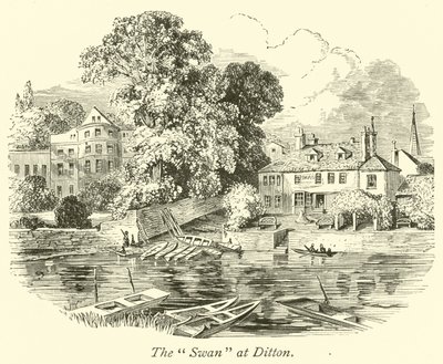 Der Schwan in Ditton von English School