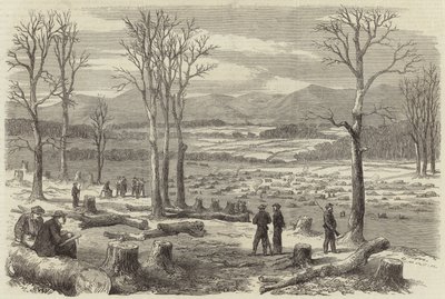 Der Krieg in Amerika von English School