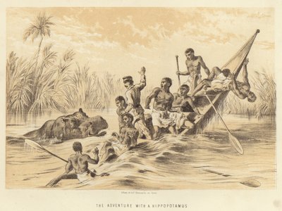 Das Abenteuer mit einem Nilpferd von English School
