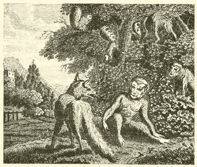 Der Affe und der Fuchs (Gravur) von English School