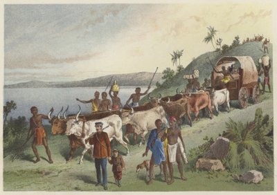 Die Ankunft am Lake Ngami von English School