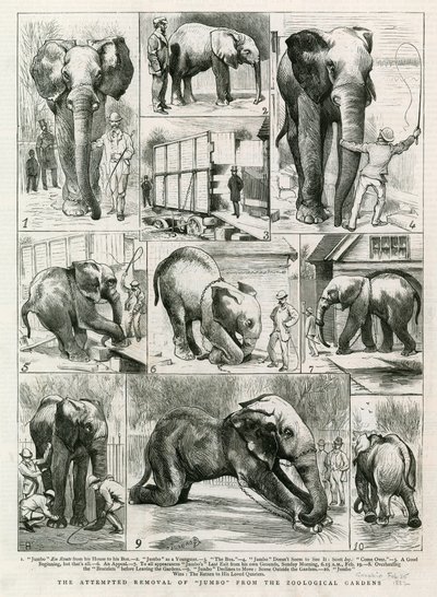 Der versuchte Abtransport von Jumbo aus den Zoologischen Gärten von English School