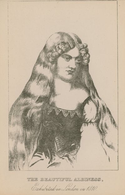 Die schöne Albino, ausgestellt in London im Jahr 1810 von English School