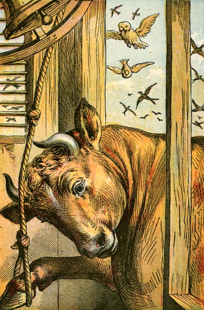 Der Stier, der die Glocke läutet von English School