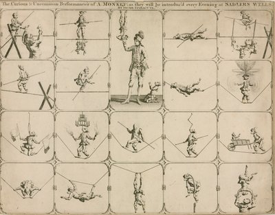 Die merkwürdige und ungewöhnliche Darbietung eines Affen, wie sie jeden Abend im Sadlers Wells von Signor Spinacuta vorgestellt wird von English School