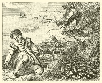 Die Taube und die Ameise (Gravur) von English School