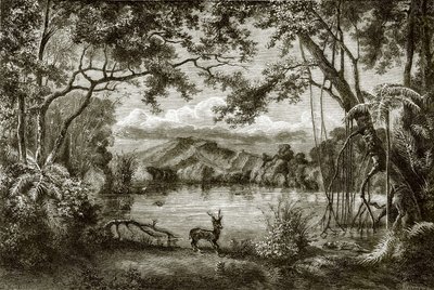 Der verzauberte See auf der philippinischen Insel von English School