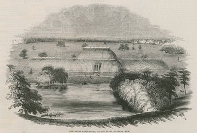 Das große Palmenhaus in den Königlichen Gärten, Kew, London von English School