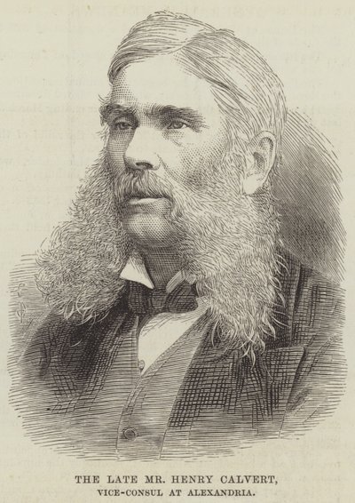 Der verstorbene Mr. Henry Calvert, Vizekonsul in Alexandria (Gravur) von English School