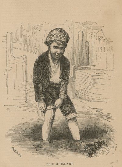 Der Schlamm-Lark von English School
