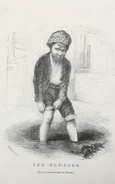 Der Schlamm-Lark von English School