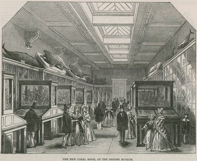 Der neue Korallenraum im British Museum von English School