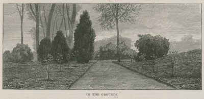 Der neue öffentliche Park in Highgate: in den Anlagen von English School