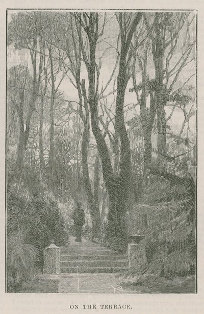 Der neue öffentliche Park in Highgate: auf der Terrasse von English School