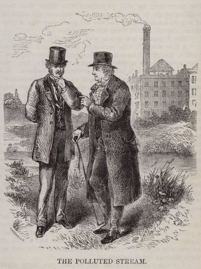 Der verschmutzte Bach - Bauer vs. Industrieller von English School