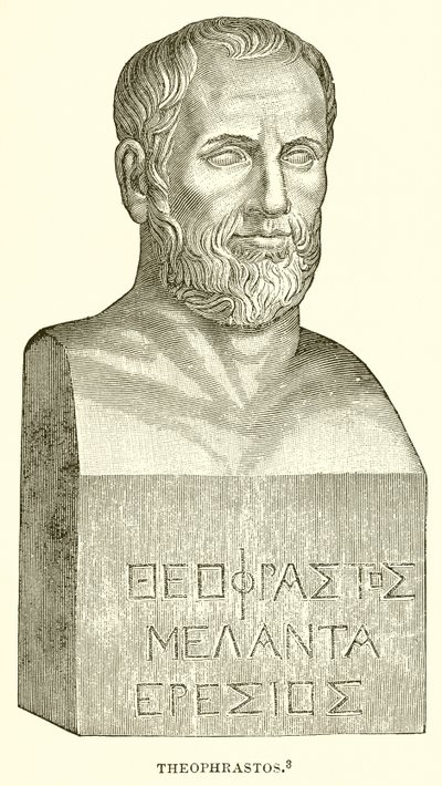 Theophrastos von English School