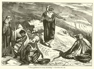 "Sie sammelten es jeden Morgen", Exodus, xvi, 21 von English School