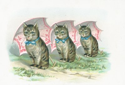 Drei Katzen sitzen in einer Reihe von English School