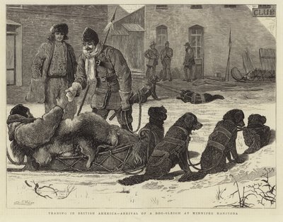 Handel in Britisch-Amerika - Ankunft eines Hundeschlittens in Winnipeg, Manitoba von English School