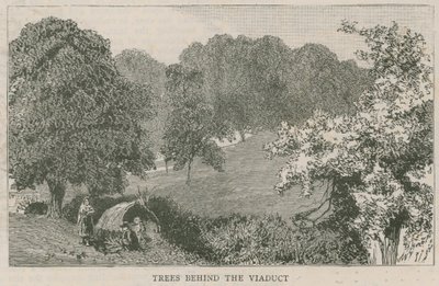 Bäume hinter dem Viadukt von English School
