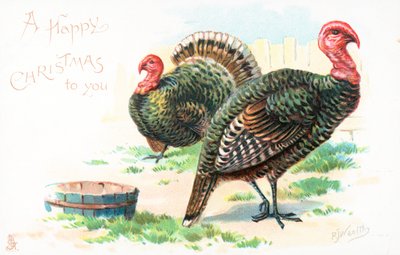 Truthähne, Weihnachtskarte von English School