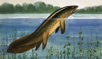 Unbekannter Fisch von English School