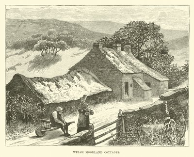 Walisische Moorland-Hütten von English School