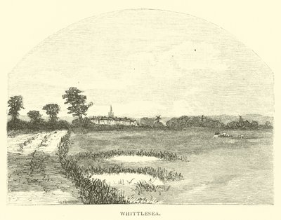 Whittlesea von English School