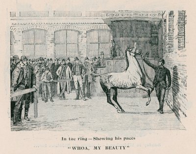 Whoa, My Beauty - Im Ring, seine Gänge zeigend von English School