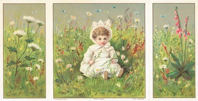 Kleines Kind sitzt in Blumenwiese, Weihnachtskarte von English School