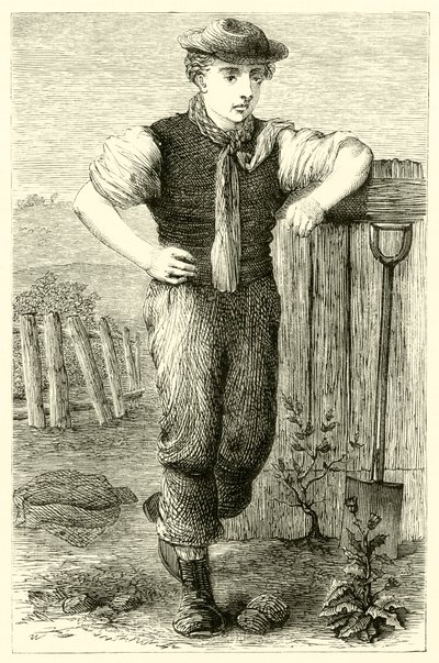 Junger Gärtner von English School