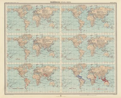 Zoogeographie: Säugetiere, Cetacea, Sirenia von English School
