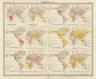 Zoogeographie: Säugetiere, Huftiere von English School