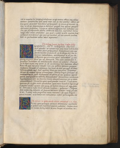 Vollseite: Text mit zwei 