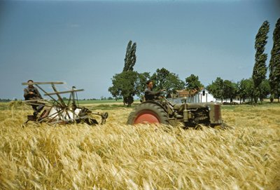  von Erich Lessing