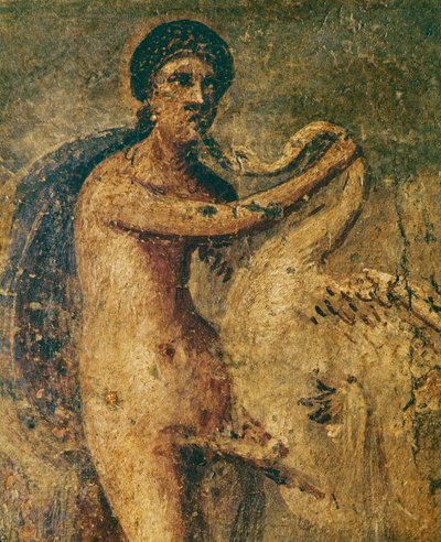 Leda und der Schwan von Erich Lessing