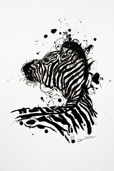 Wilde Zebra Tintenfleck von Erik Van Velzen