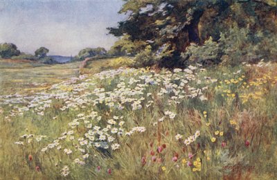 Sonnenschein im Wiesenland von Ernest Benger or Berenger
