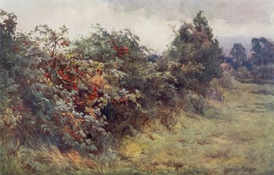 Die Offenbarung der Reife von Ernest Benger or Berenger