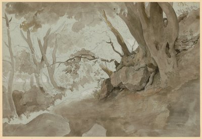 Baum- und Felsenstudie von Ernst Fries